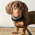 Load image into Gallery viewer, Dante Collar Modelo

