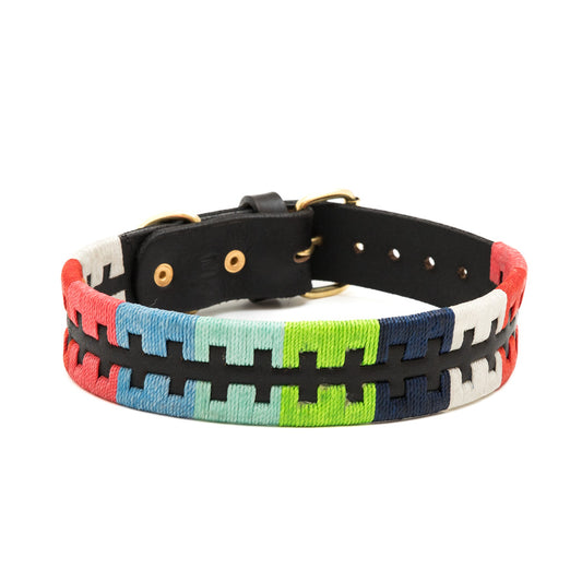 Dogo Collar 1