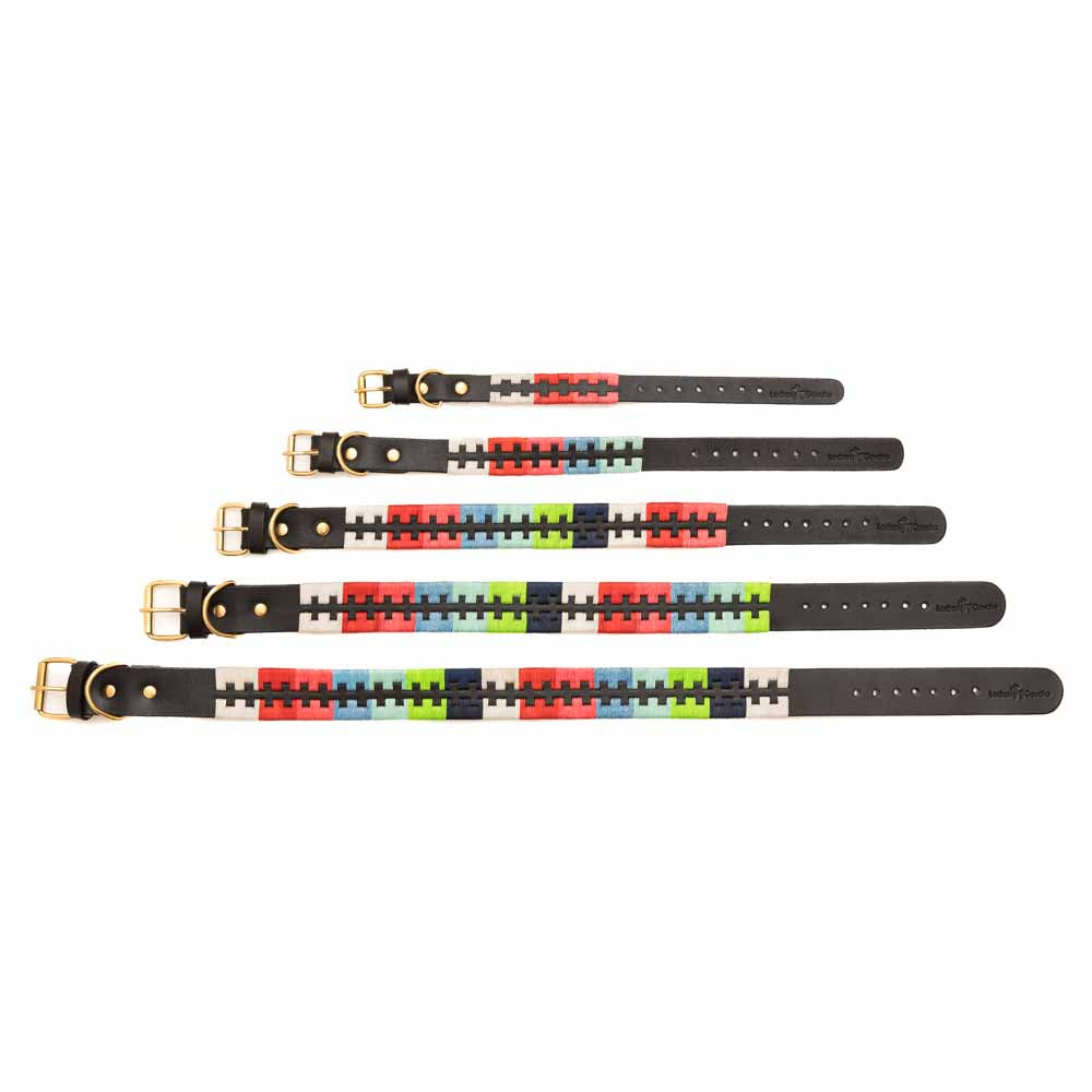 Dogo Collar 3