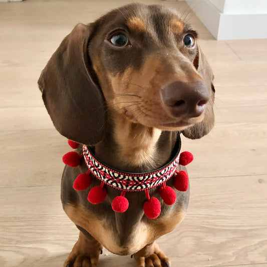 Frida Collar Modelo