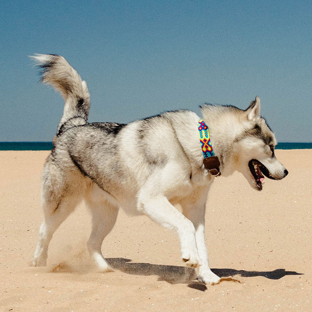 Frijol collar &#8211; Modelo