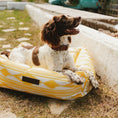 Bild in Galerie-Betrachter laden, Ibiza Wasserdichtes Hundebett
