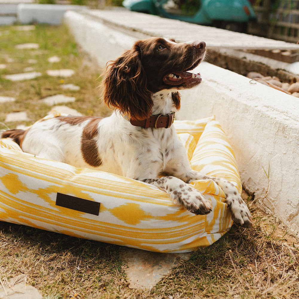 Ibiza Wasserdichtes Hundebett