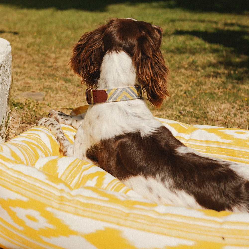 Ibiza Wasserdichtes Hundebett