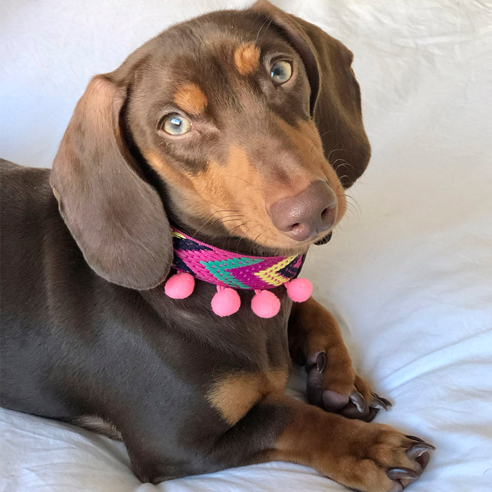 Ikal Collar Modelo 1