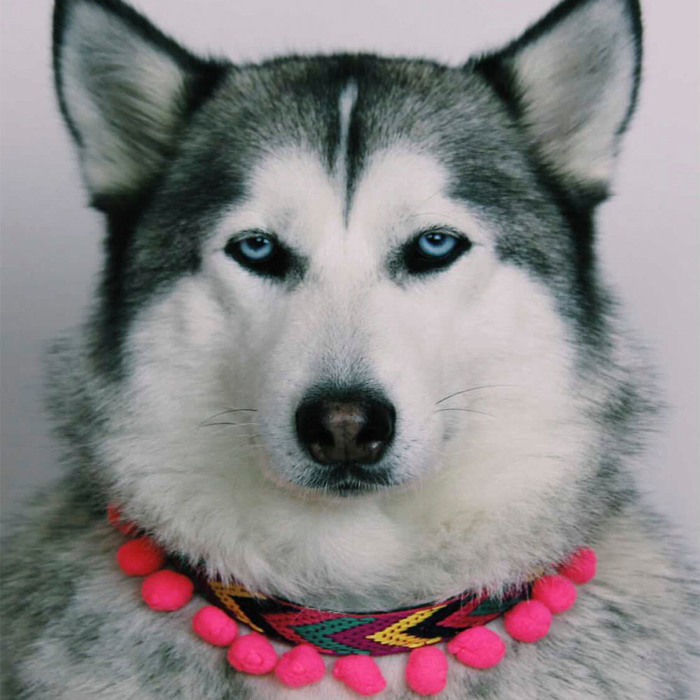 Ikal Collar Modelo 2