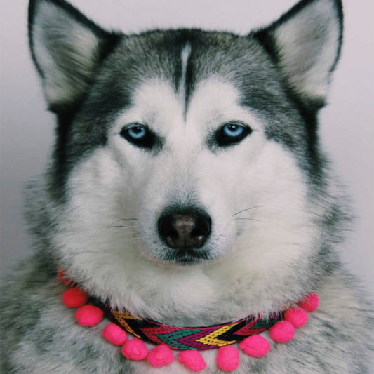 Ikal Collar Modelo 2