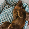 Bild in Galerie-Betrachter laden, Ikat Grünes, wasserdichtes Hundebett
