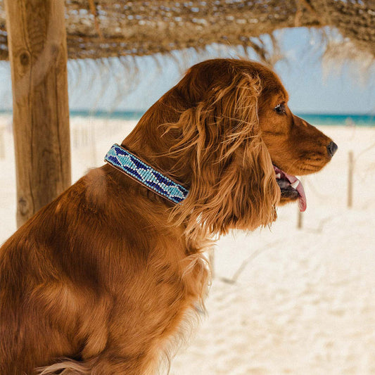 Madagascar Collar &#8211; Modelo