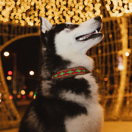 Malaui Collar Modelo 1