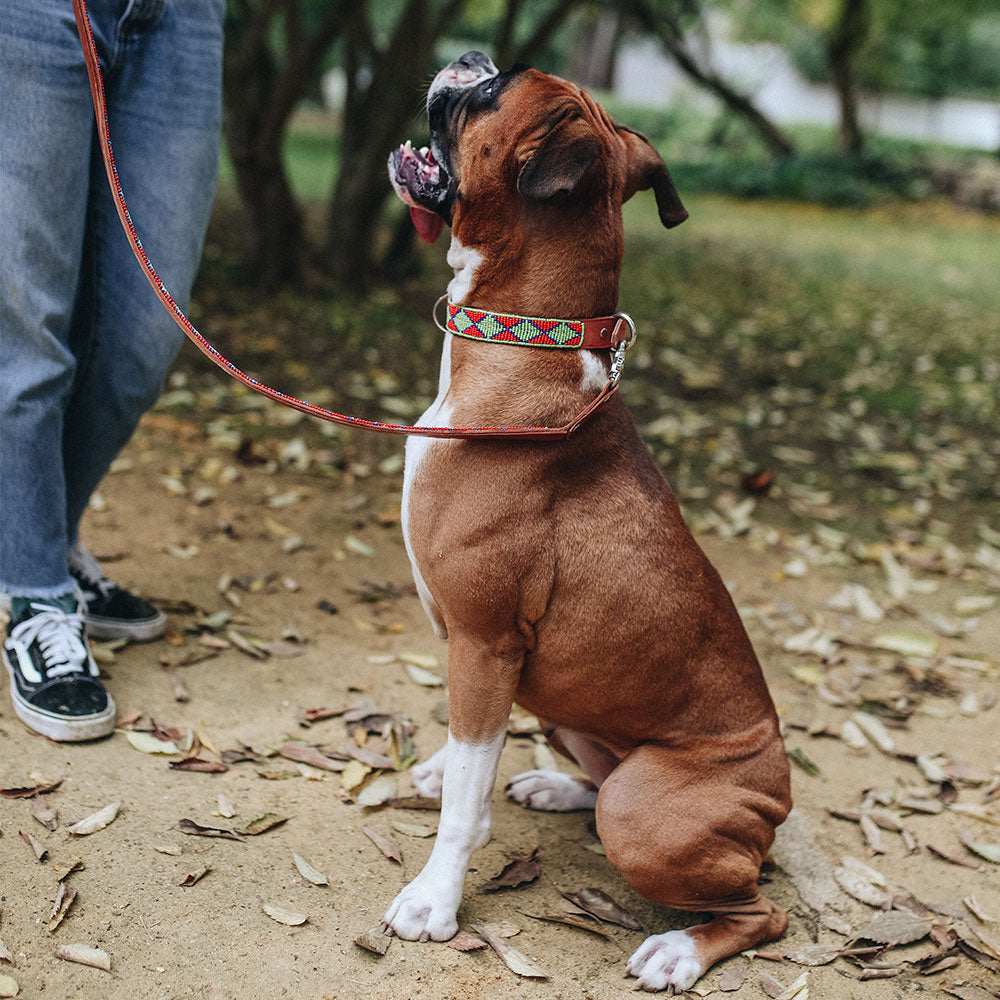 Malaui Collar &#8211; Modelo
