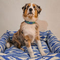 Bild in Galerie-Betrachter laden, Mallorca Wasserdichtes Hundebett
