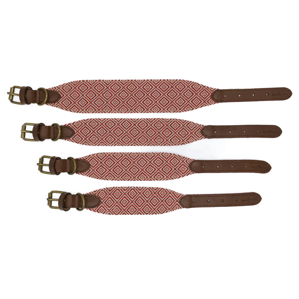 Mambo Collar Galgo 3