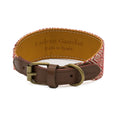 Load image into Gallery viewer, Mambo Collar Galgo 4
