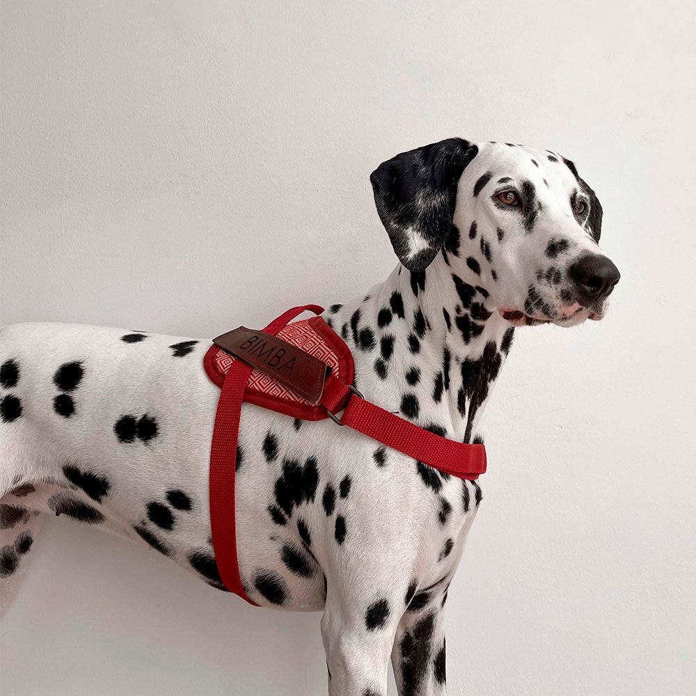 Mambo arnés seguridad modelo 3
