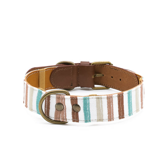Max Collar 1