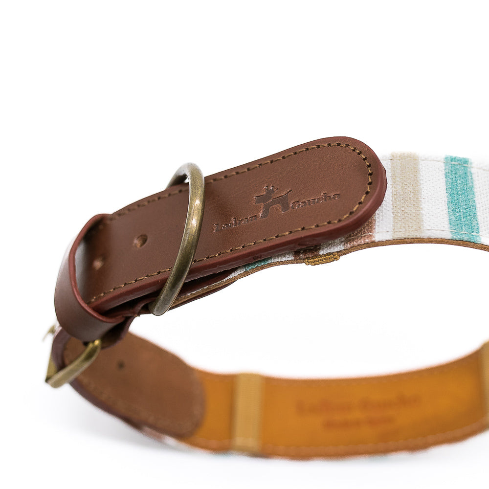 Max Collar 2