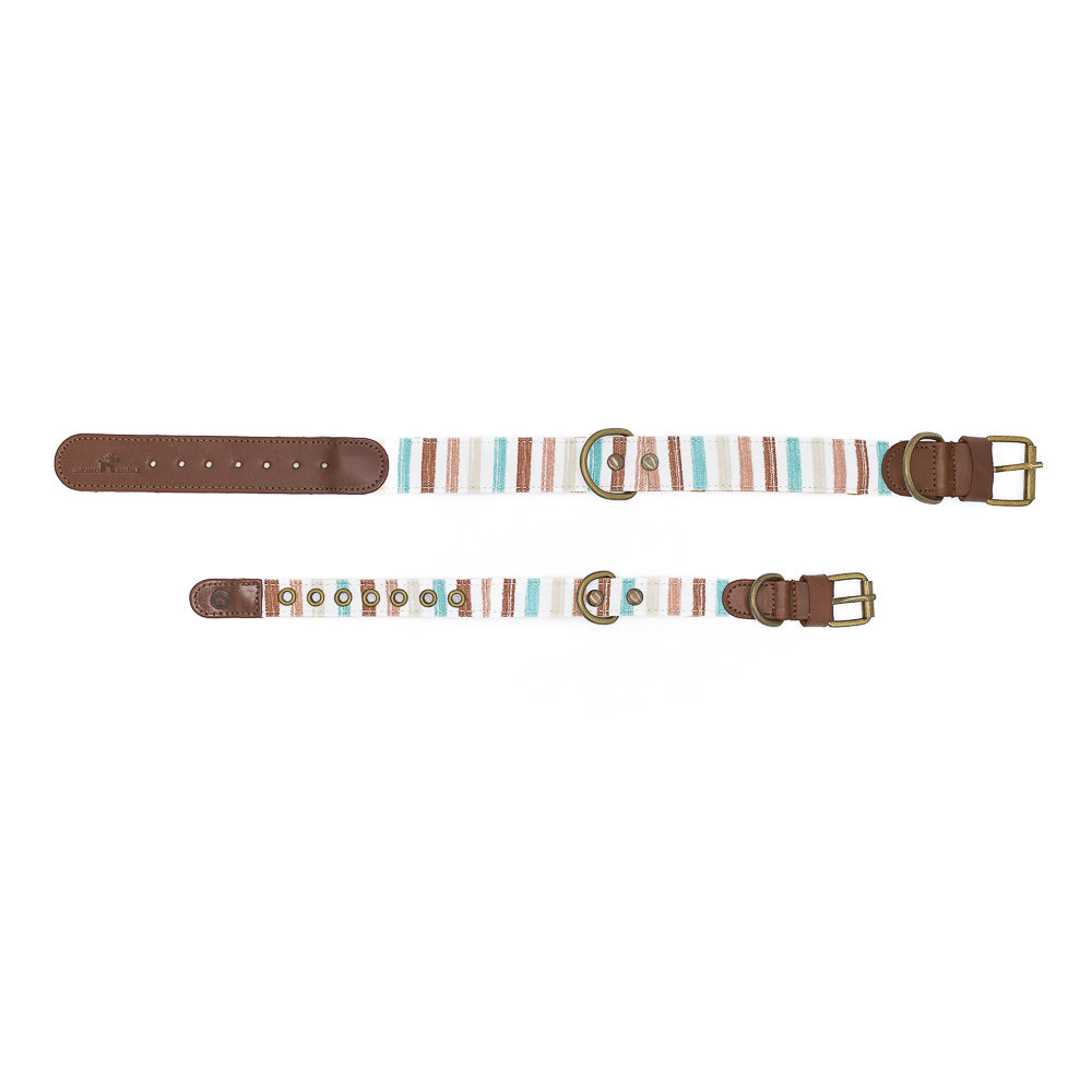 Max Collar 3