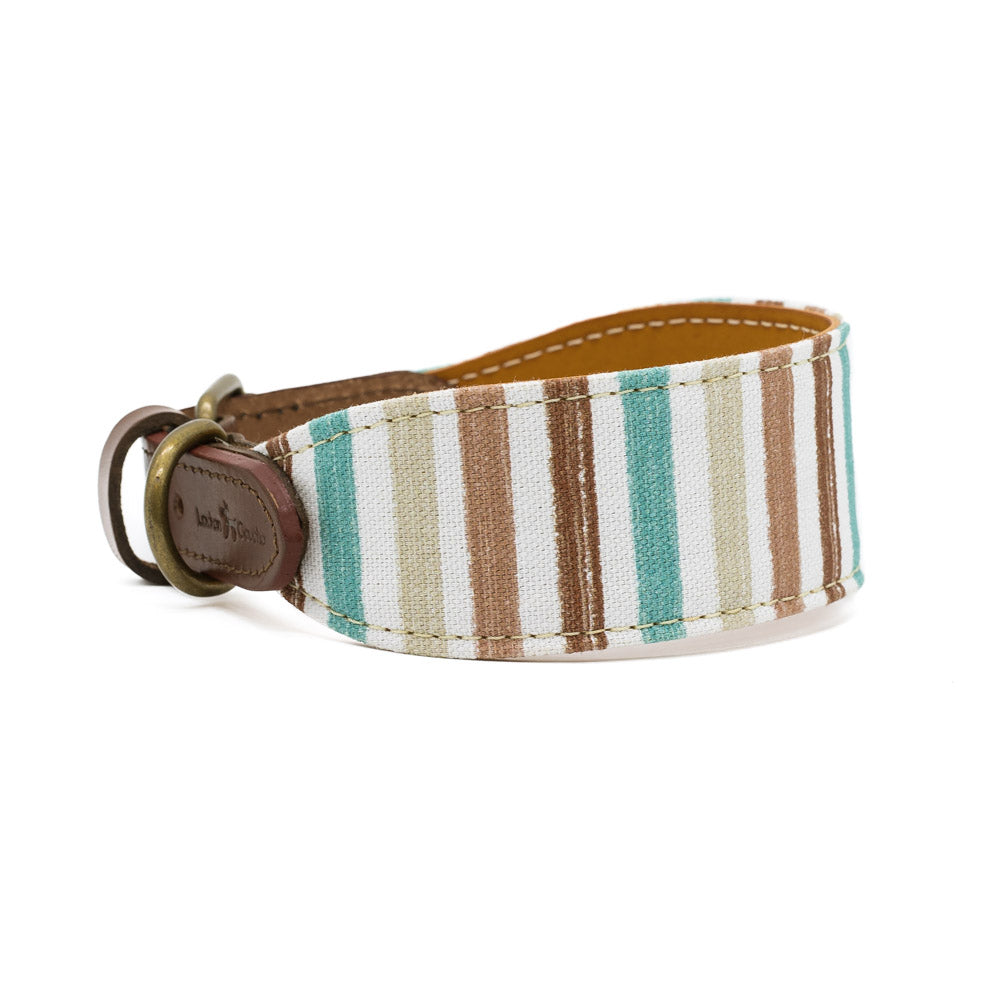 Max Collar Galgo 2