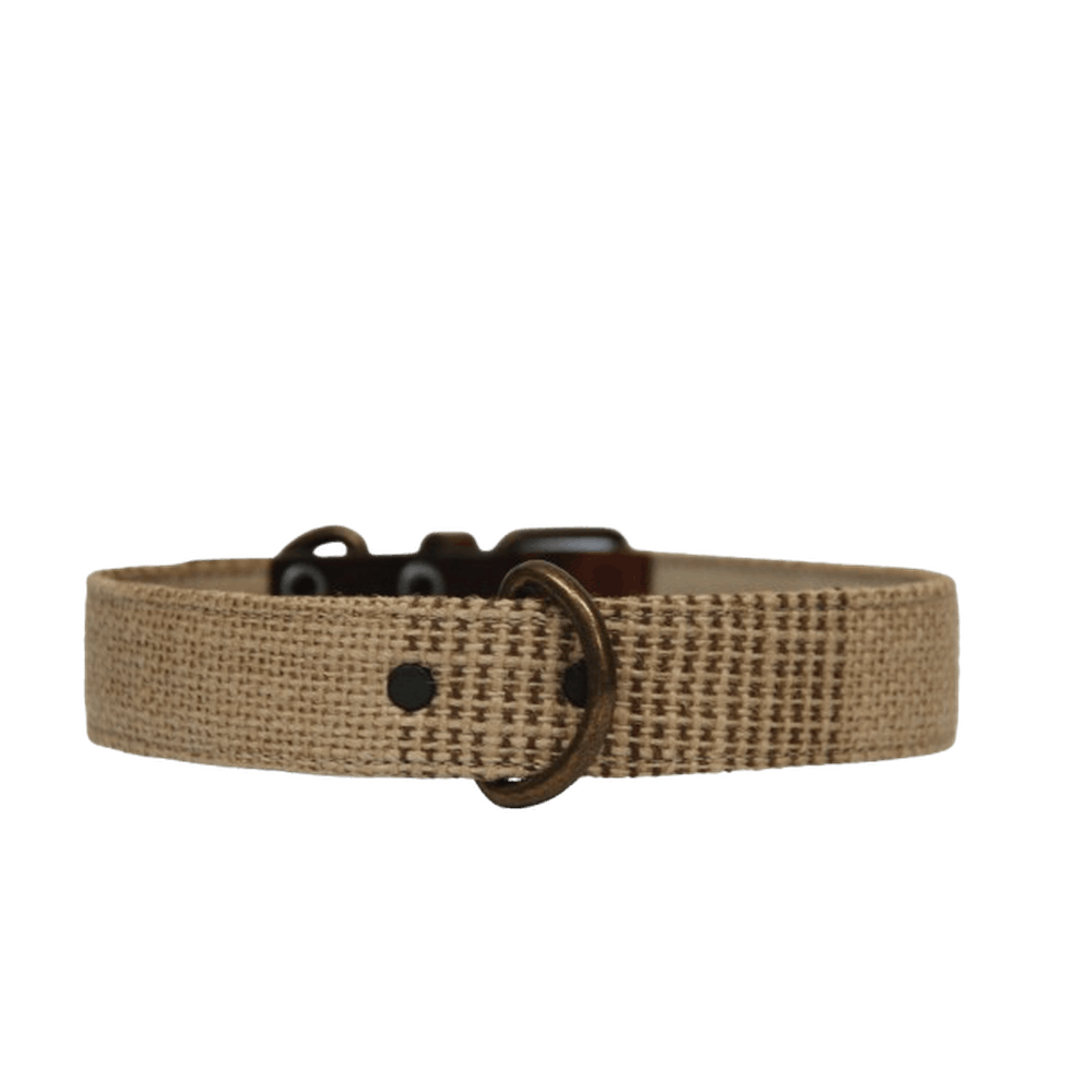 Neutro collar outlet 1 &#8211; PNG