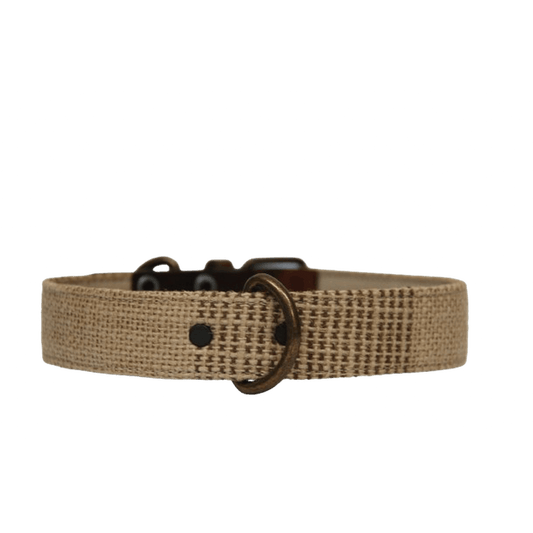 Neutro collar outlet 1 &#8211; PNG