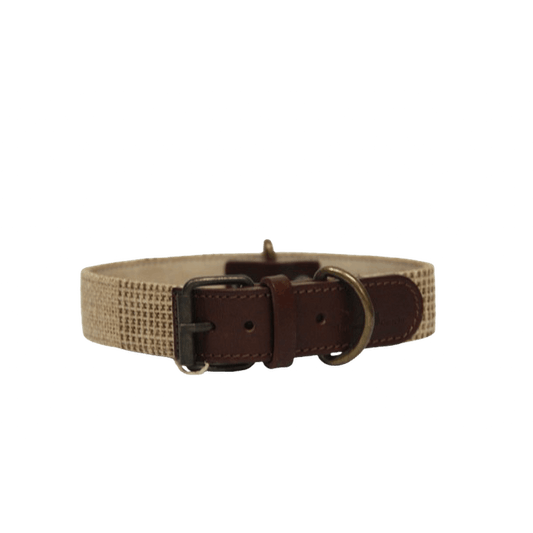 Neutro collar outlet 2 &#8211; PNG