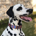 Load image into Gallery viewer, Nigeria Collar – Modelo
