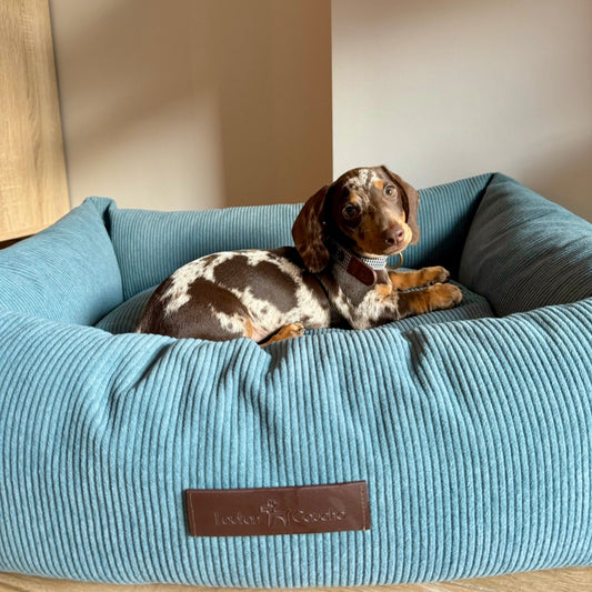 Cord-Hundebett Cloud