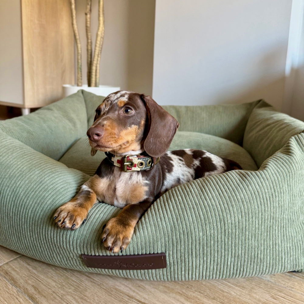 Pradera Cord-Hundebett