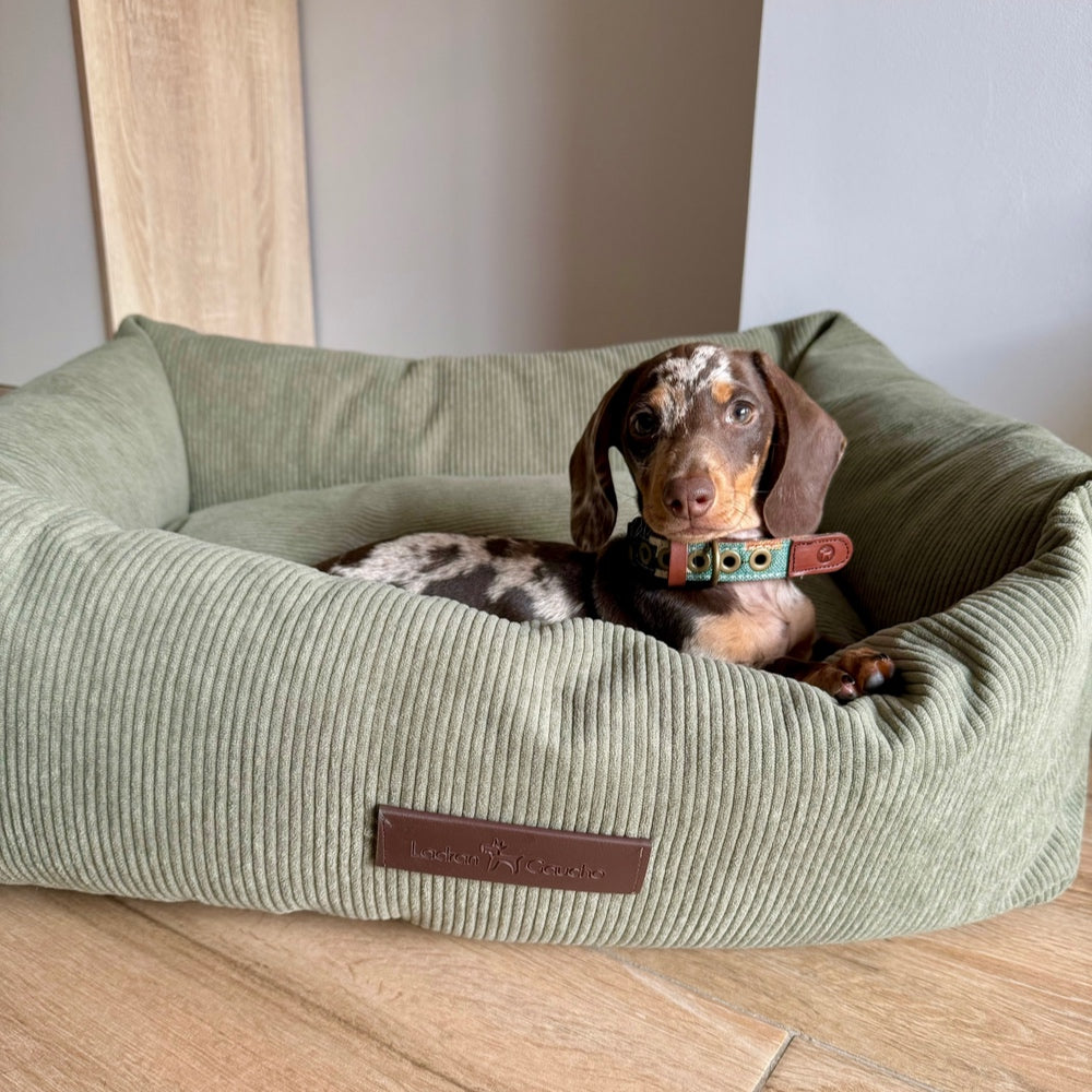 Pradera Cord-Hundebett