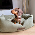 Bild in Galerie-Betrachter laden, Pradera Cord-Hundebett
