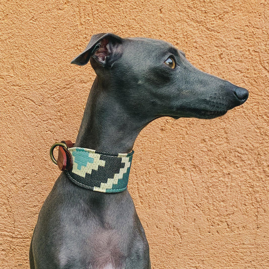 Pluto Collar Galgo Modelo 1