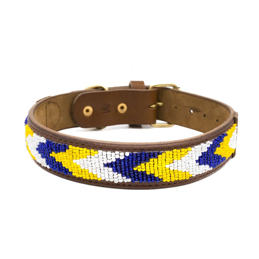 Safari collar 1