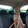 Load image into Gallery viewer, Scooby Cinturón de seguridad + collar 2
