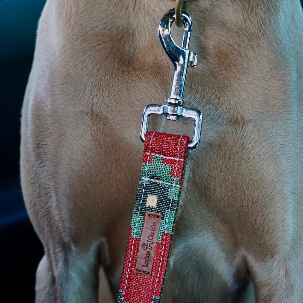 Scooby Cinturón de seguridad + collar 3