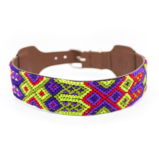 Taco Collar 1