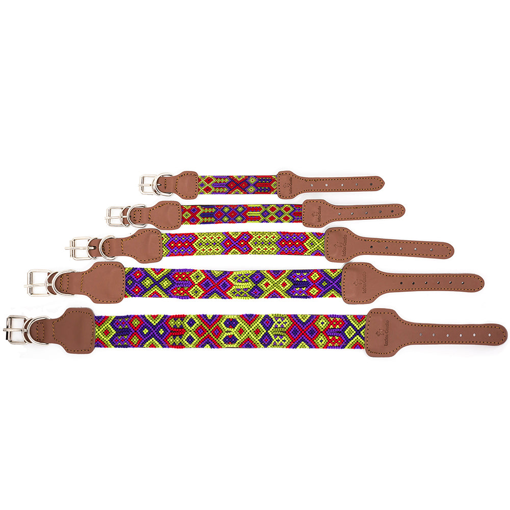Taco Collar 3