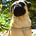 Load image into Gallery viewer, corcho4
