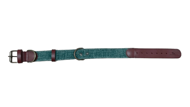 tempImagezYffzF-removebg-preview