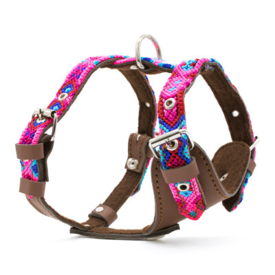Arnés para perros Órale - XS